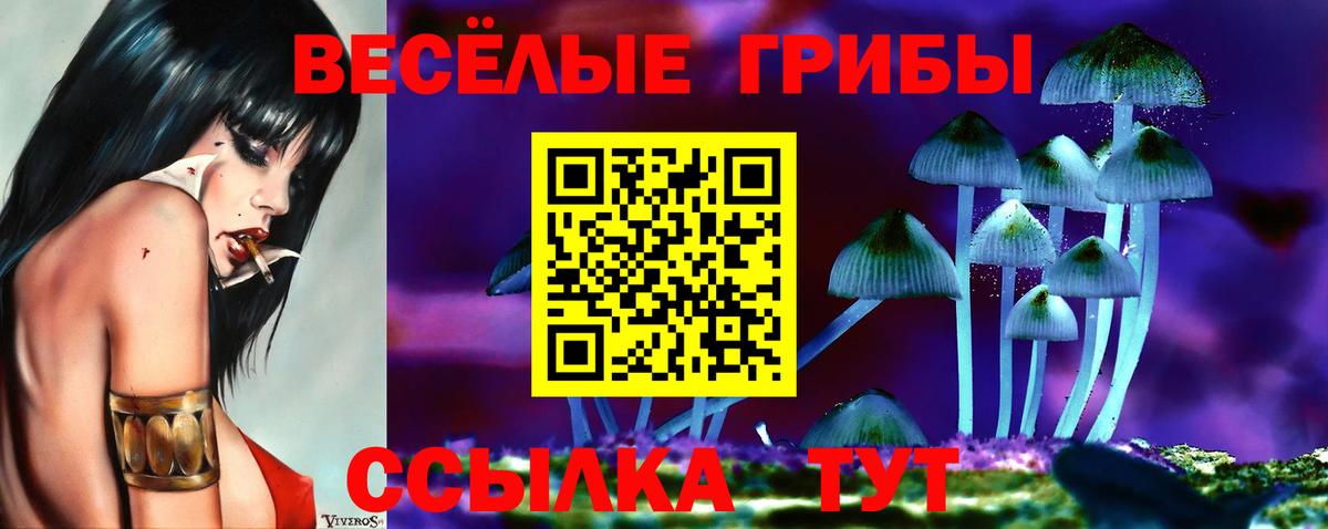 Псилоцибиновые грибы Psilocybine cubensis  Вход с VPN  Богородск 